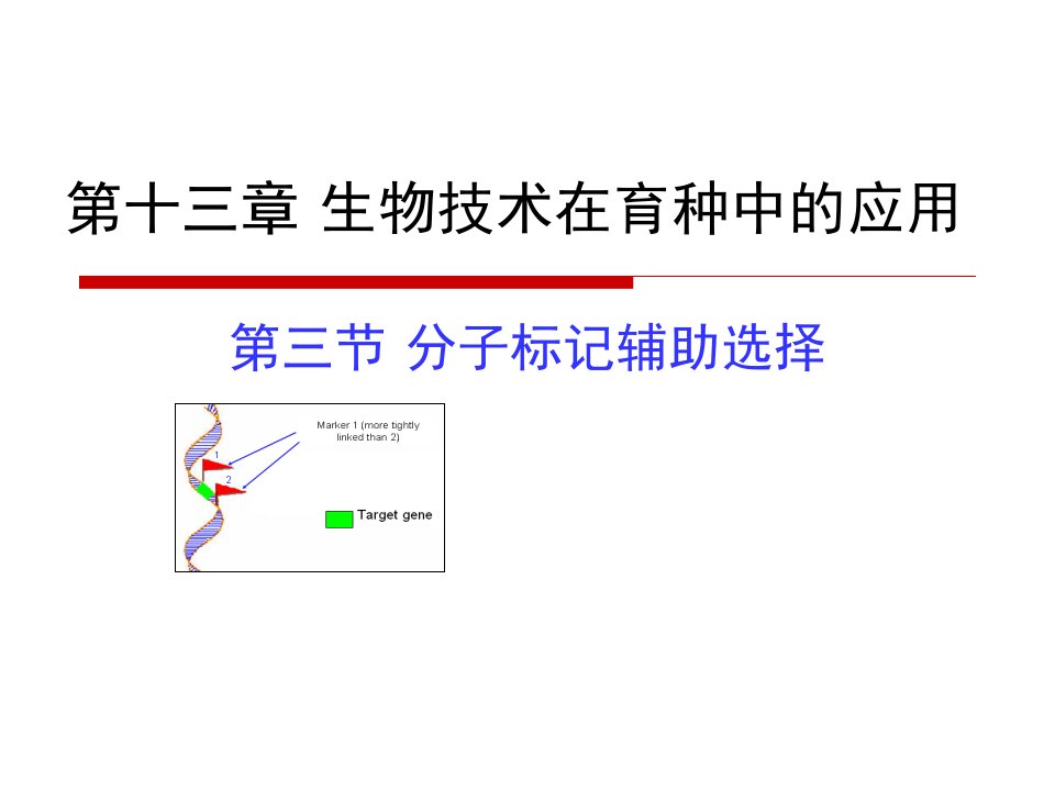 《园艺植物育种学》第13章3分子标记辅助育种