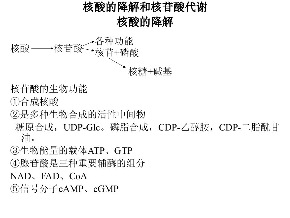 核酸的降解和核苷酸代谢(1)