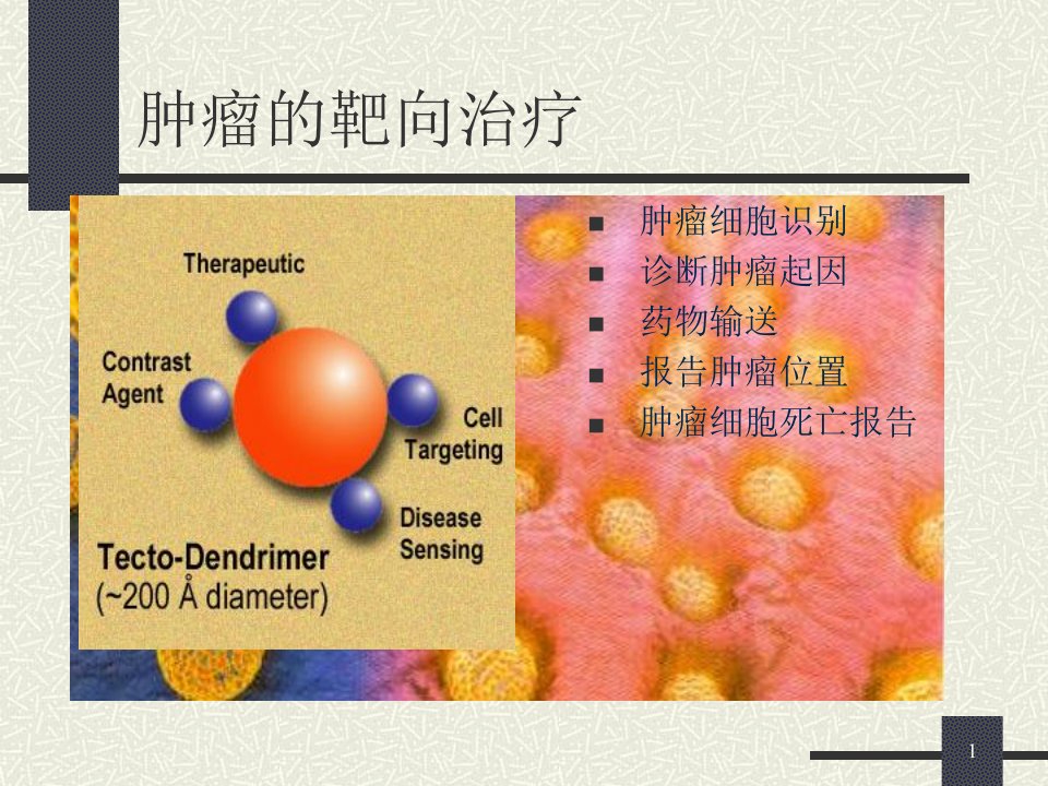 纳米技术与肿瘤诊治