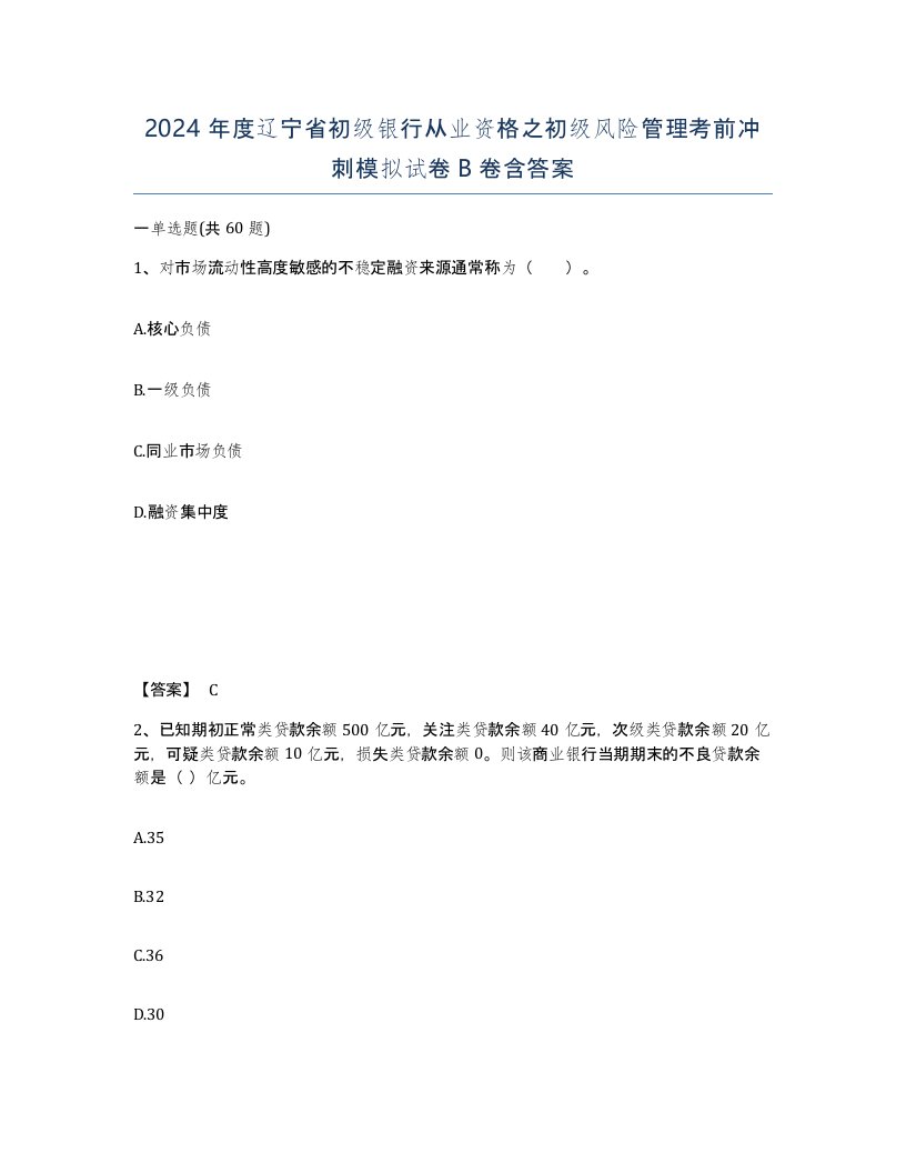 2024年度辽宁省初级银行从业资格之初级风险管理考前冲刺模拟试卷B卷含答案