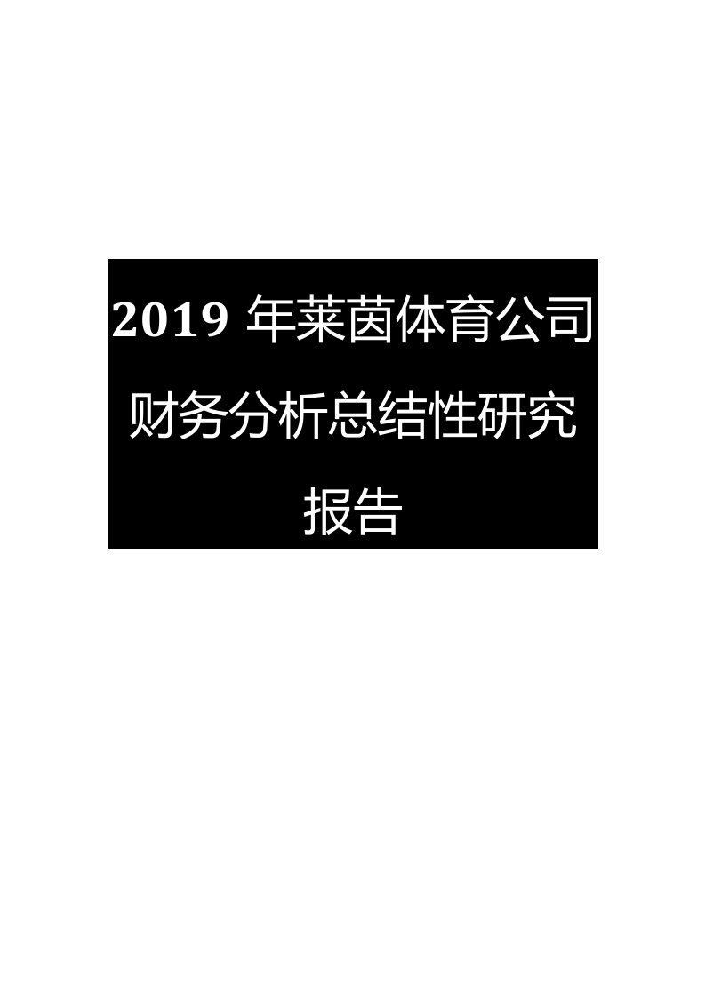 2019年莱茵体育公司财务分析总结性研究报告