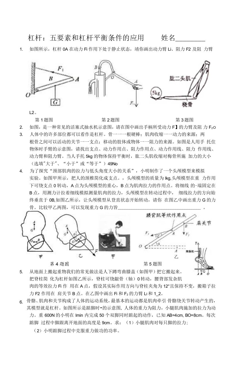 杠杆（五要素和杠杆平衡条件的应用）