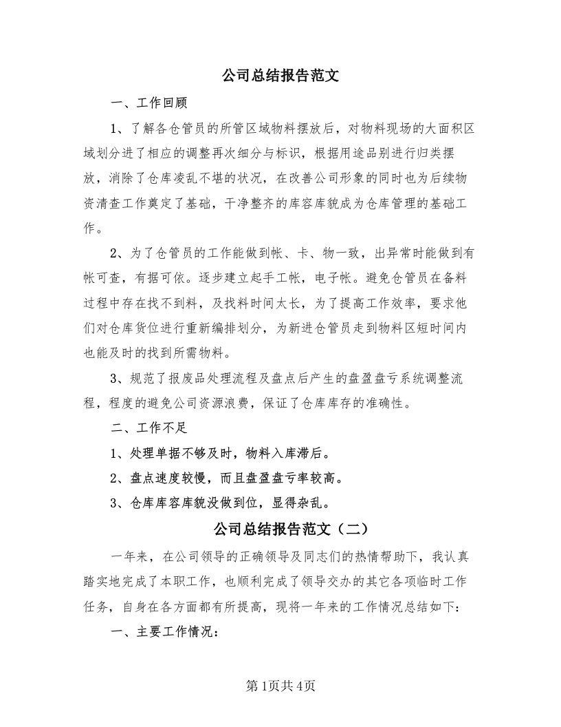 公司总结报告范文（3篇）