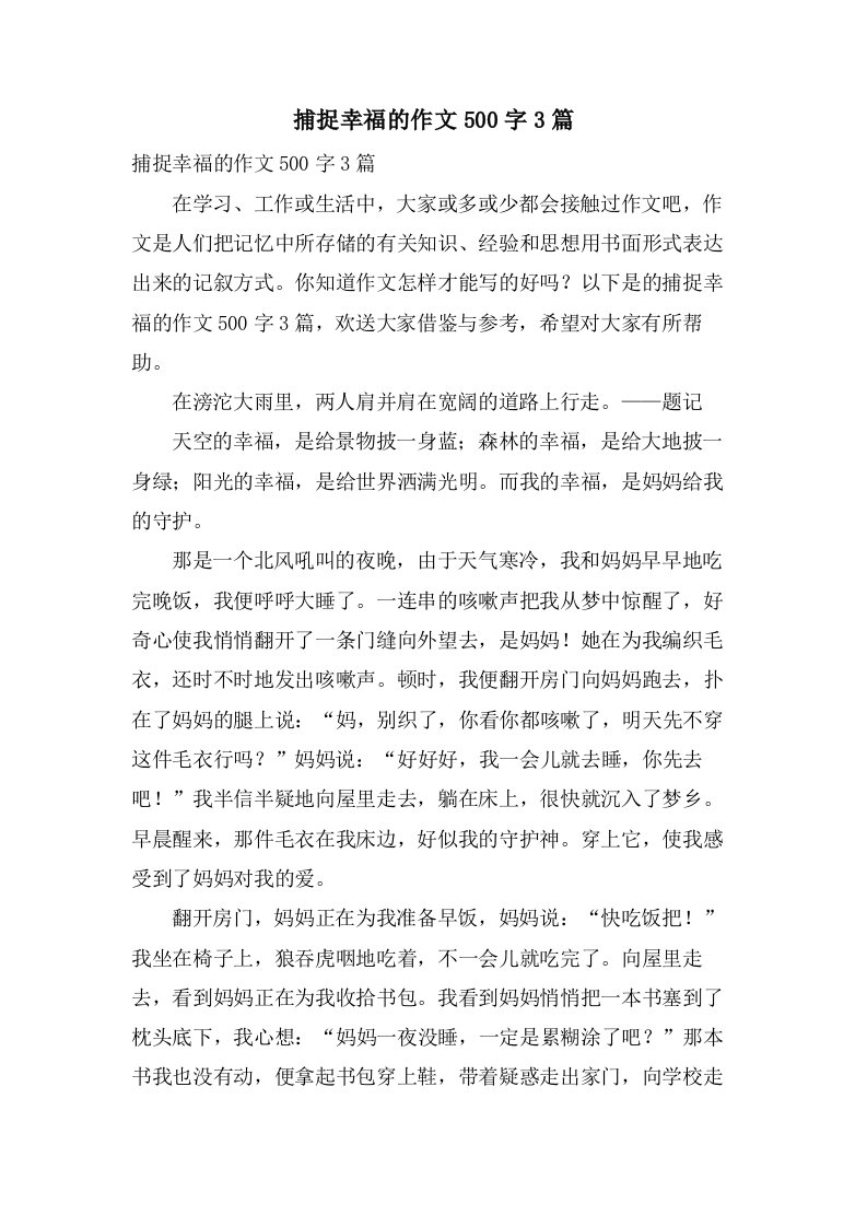 捕捉幸福的作文500字3篇