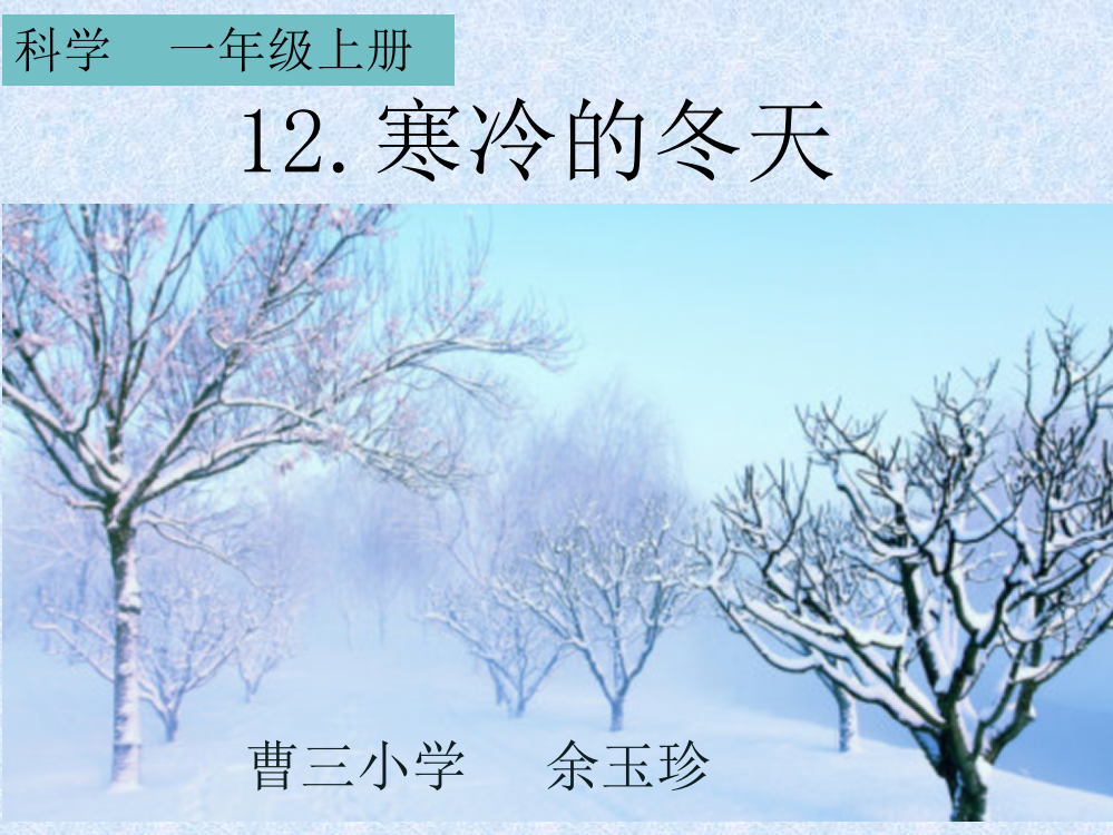 科学一年级上册《12寒冷的冬天》曹三小学余玉珍