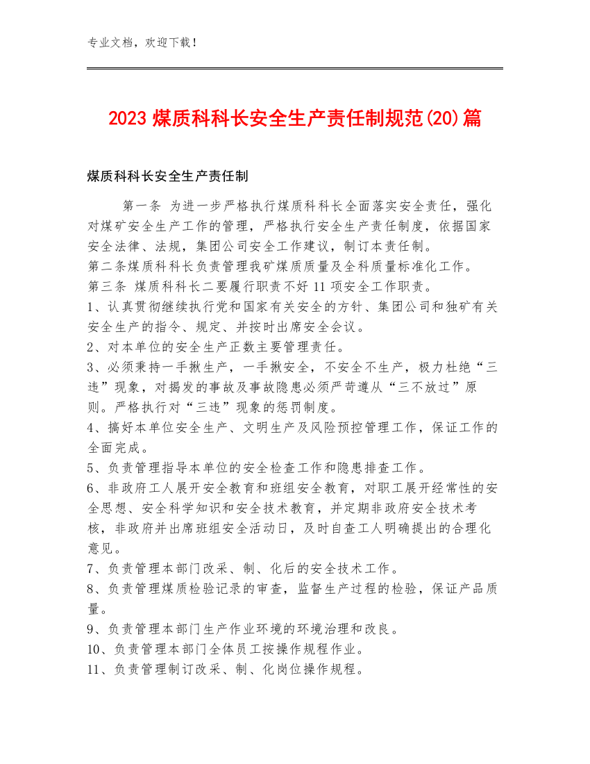 2023煤质科科长安全生产责任制规范(20)篇