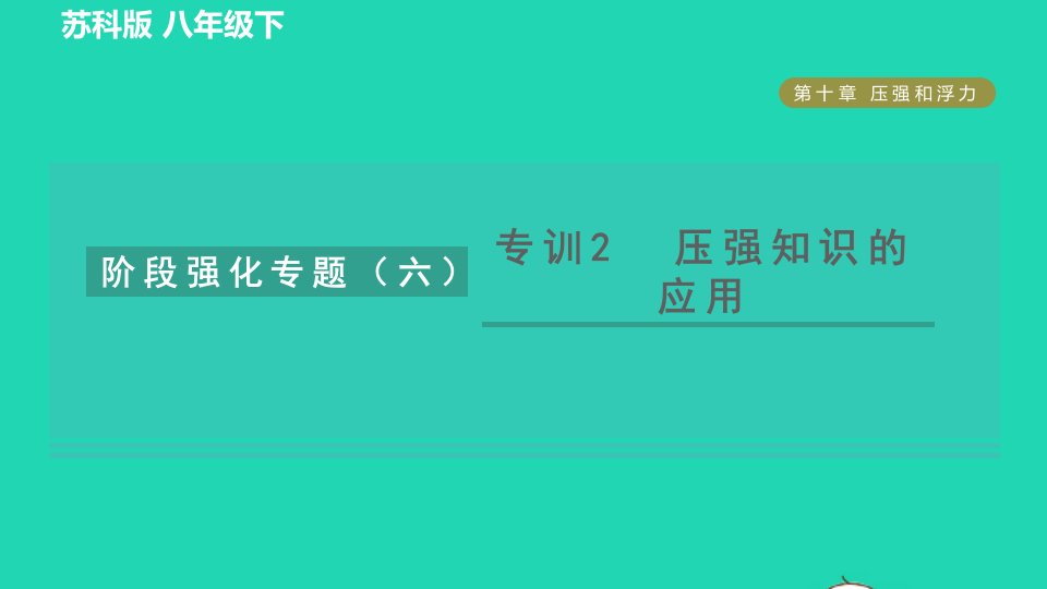 2022八年级物理下册第十章压强和浮力阶段强化专题六专训2压强知识的应用习题课件新版苏科版