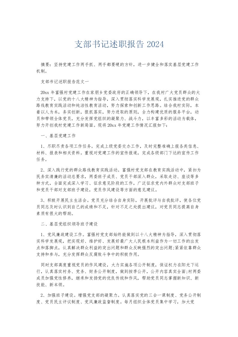 总结报告支部书记述职报告2024001