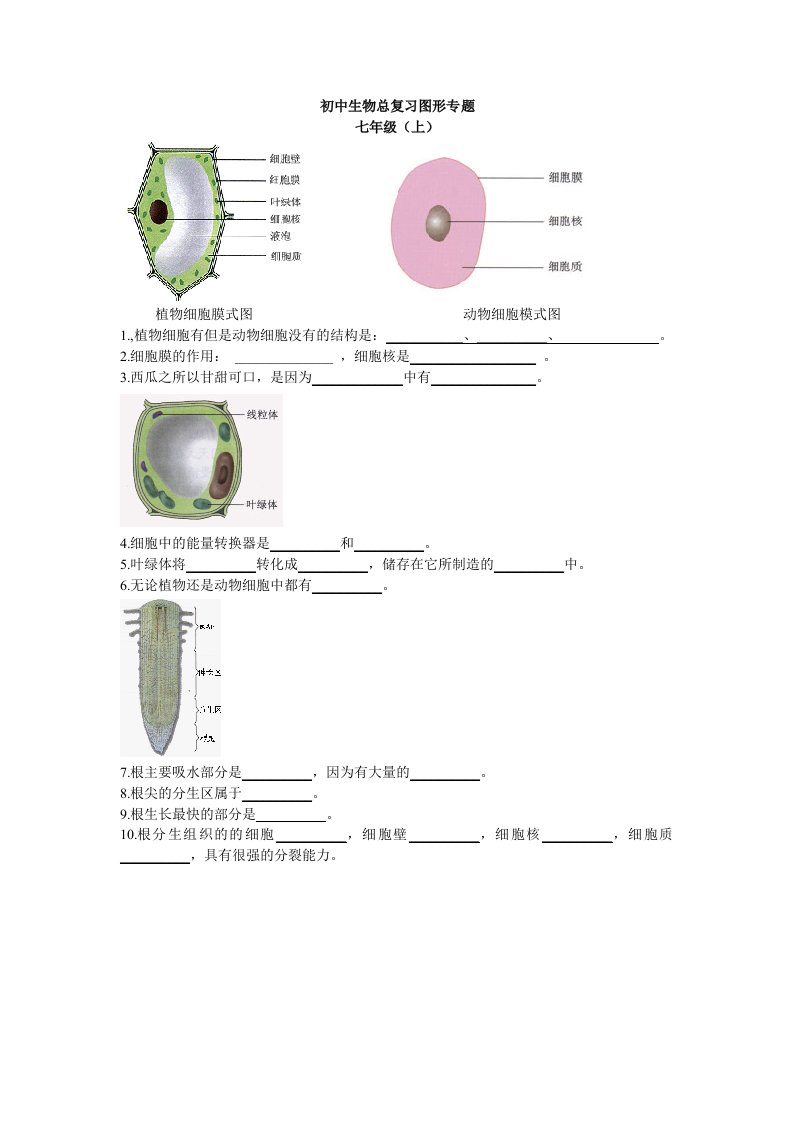 初中生物总复习图形专题(一)