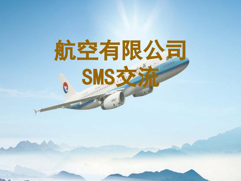 《航空公司SMS》PPT课件