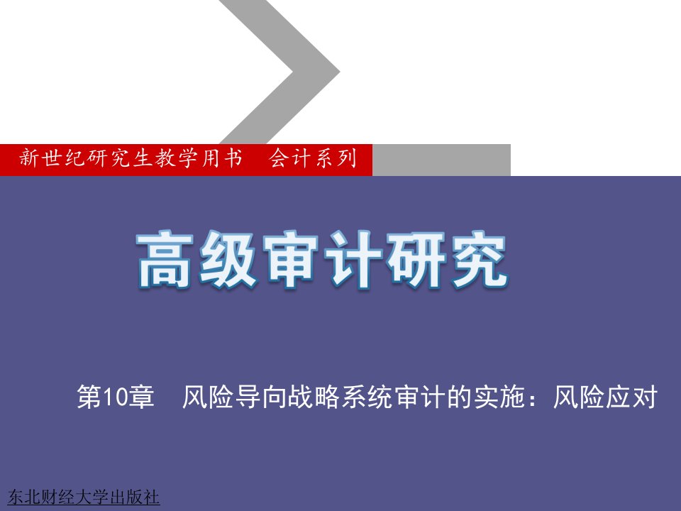 第10章风险导向战略系统审计的实施风险应对