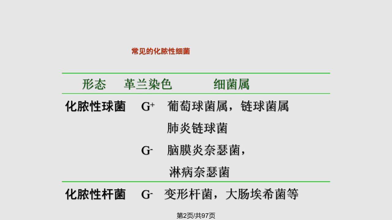 常见病原菌化脓性细菌课件