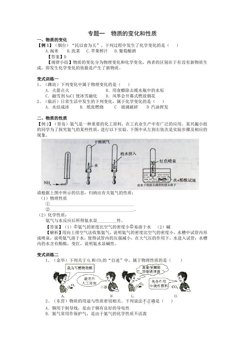 中考化学总复习