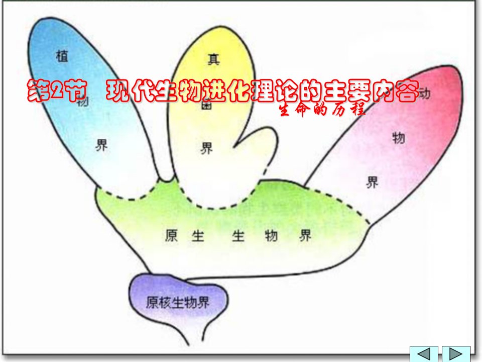 生物：7.2《现代生物进化理论的主要内容》课件(新人教版必修2)