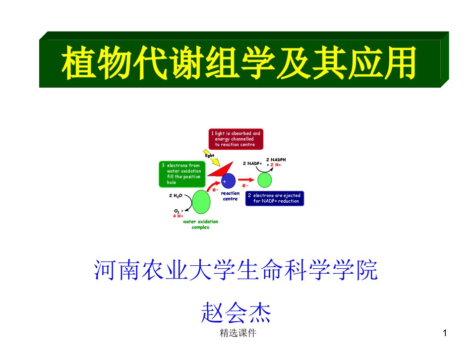 《植物代谢组学》PPT课件