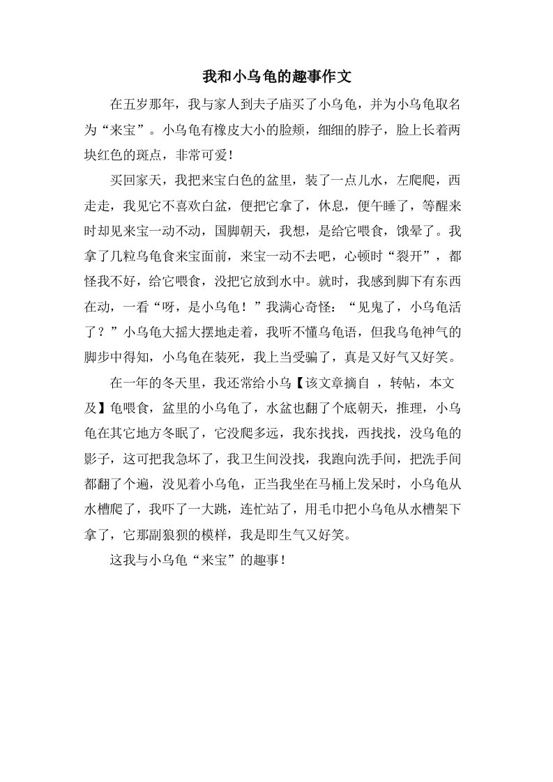 我和小乌龟的趣事作文