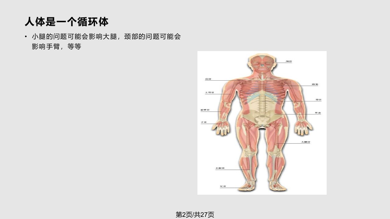 泡沫轴筋膜放松术