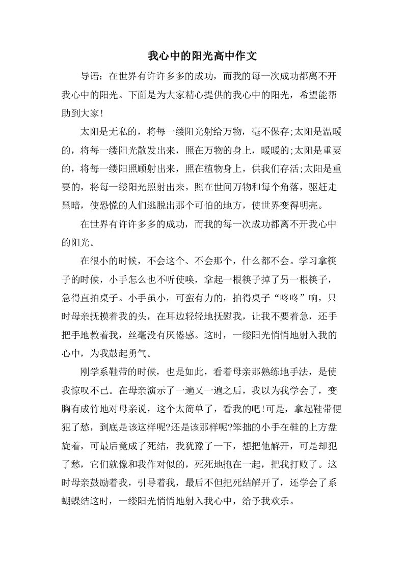 我心中的阳光高中作文