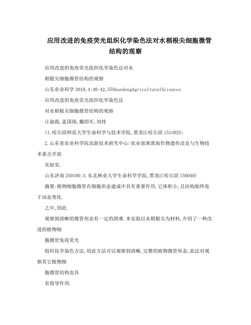 应用改进的免疫荧光组织化学染色法对水稻根尖细胞微管结构的观察