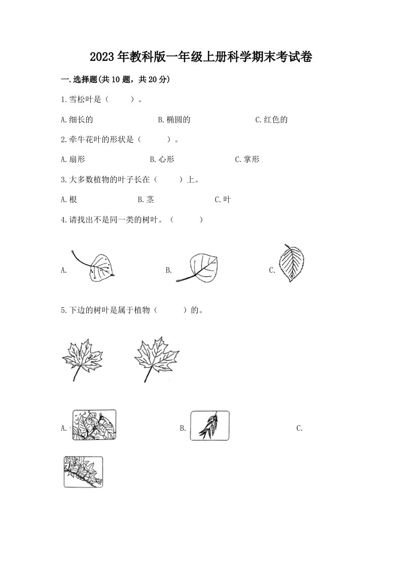 2023年教科版一年级上册科学期末考试卷附答案（b卷）