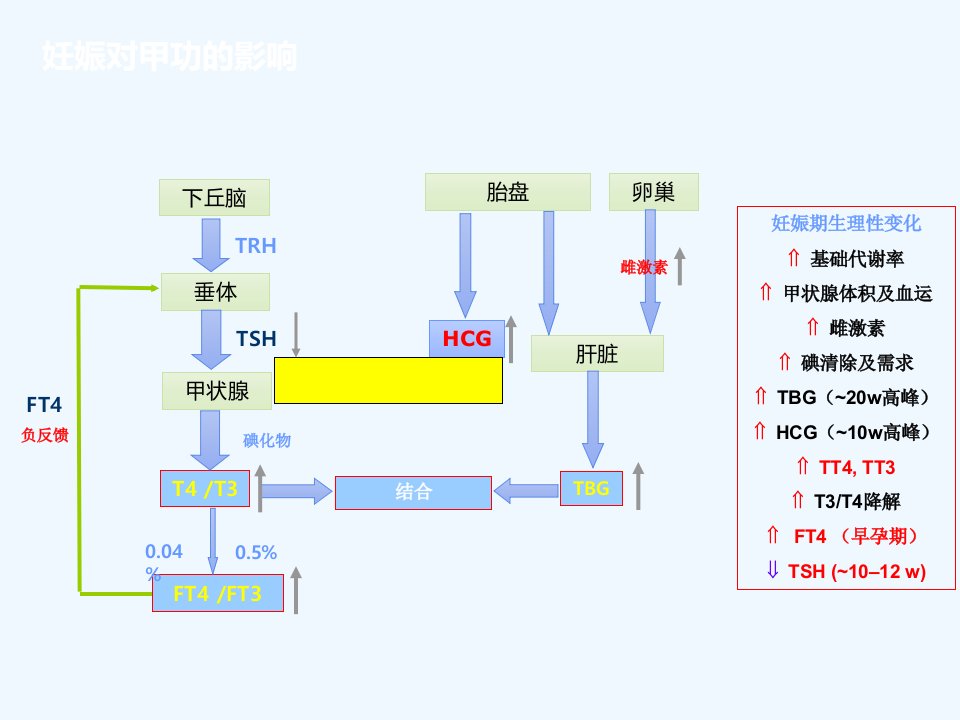 妊娠期甲状腺激素的应用与管理ppt课件