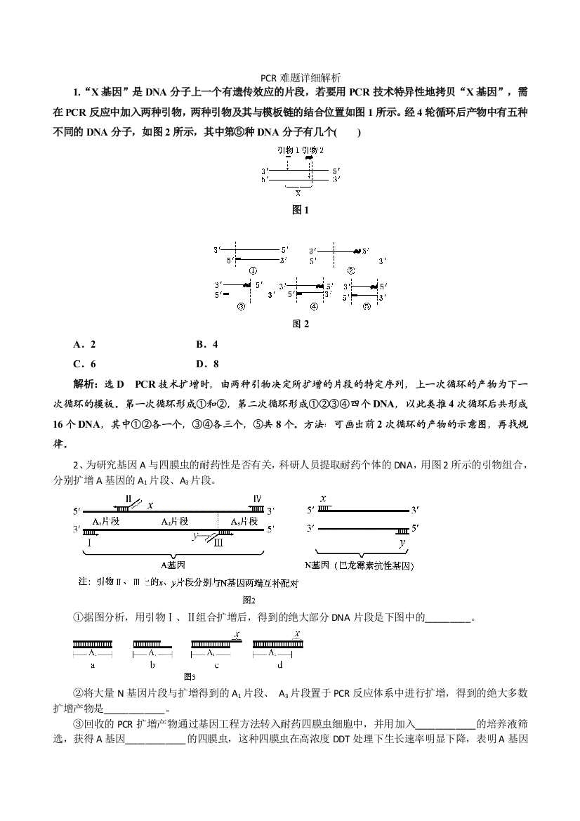 PCR难题详细解析