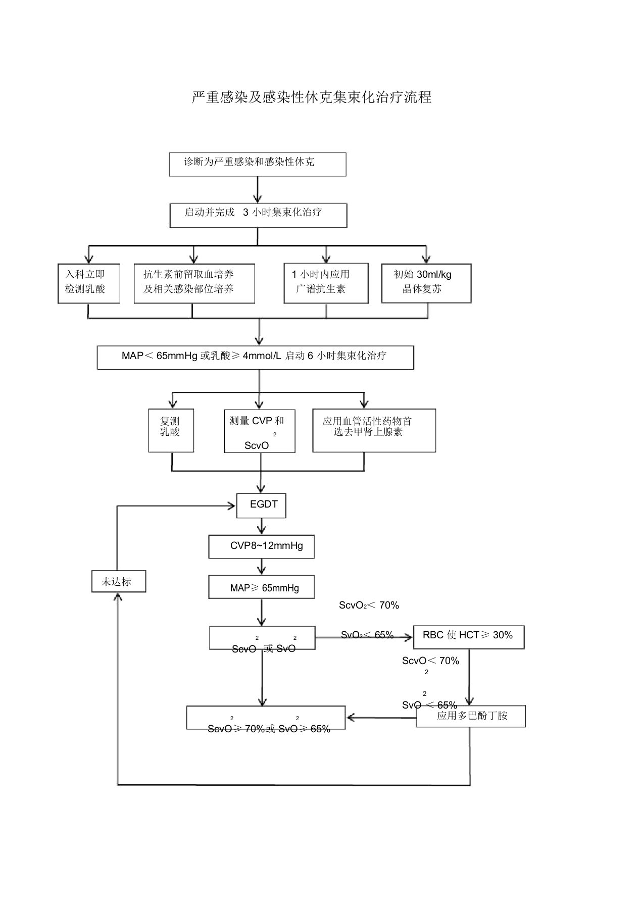 严重感染及感染性休克集束化治疗流程