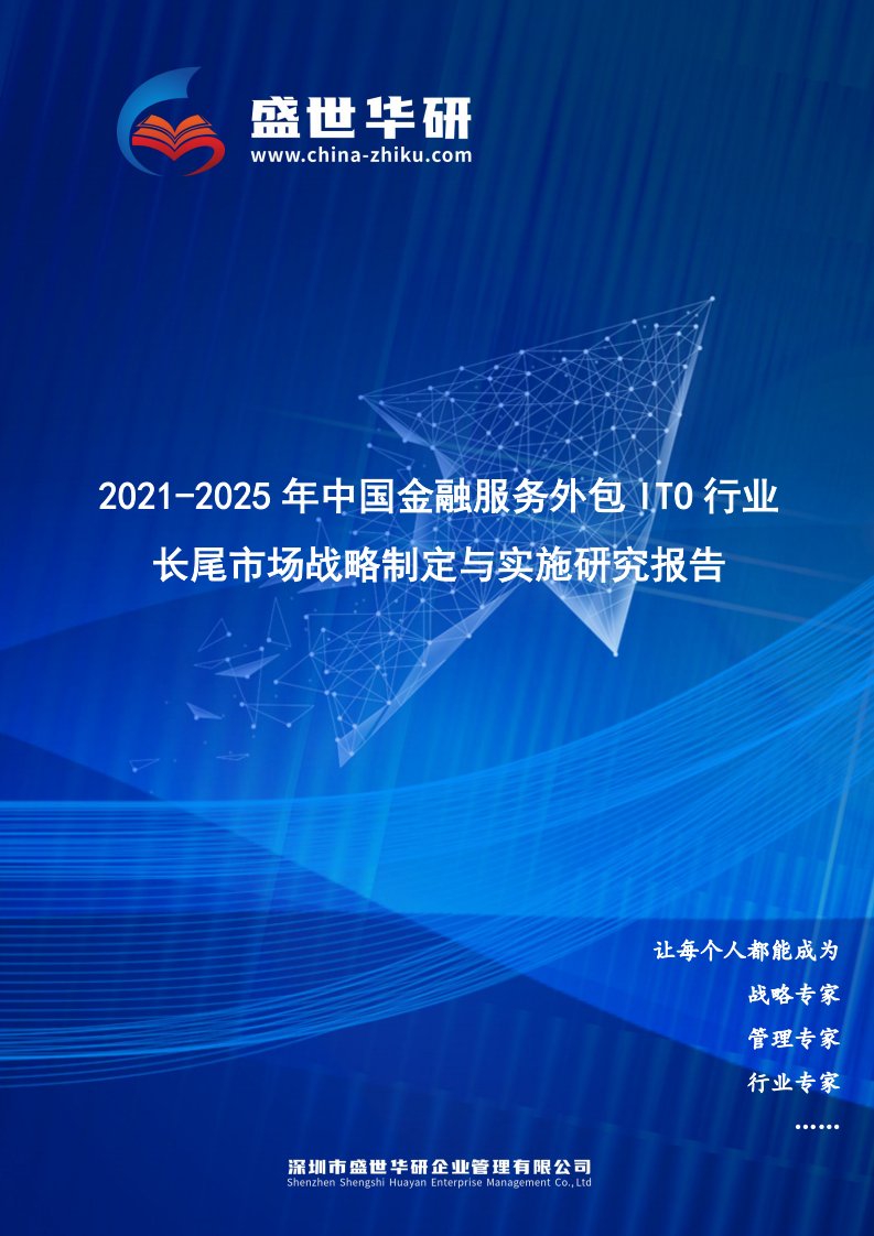 2021-2025年中国金融服务外包ITO行业长尾市场战略制定与实施研究报告