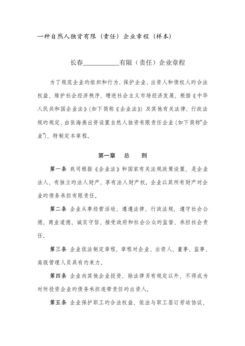 一个自然人独资有限公司章程