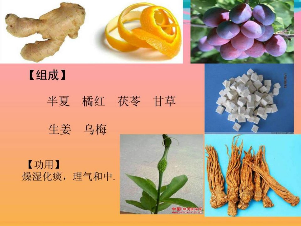 中药复方研究.pptPPT课件