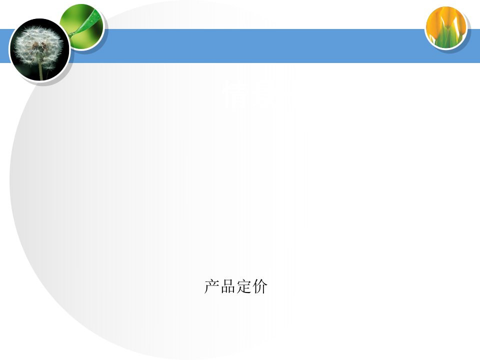 产品定价讲义课件