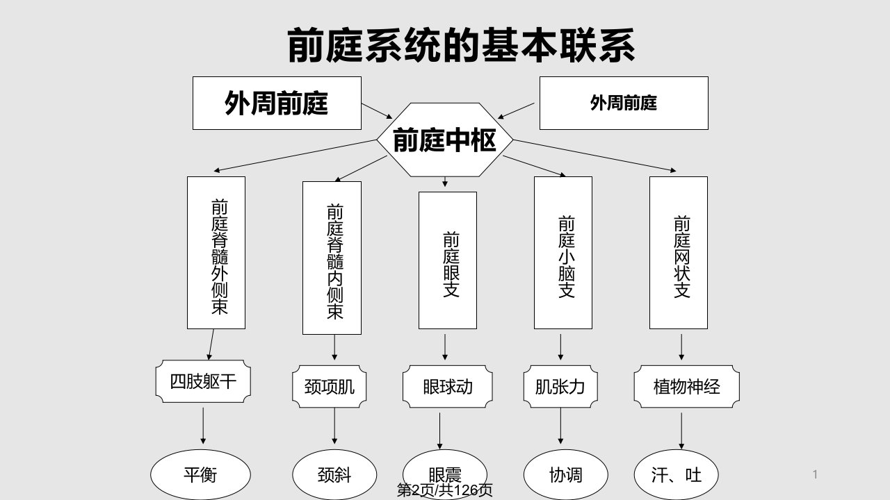 眩晕鉴别诊断