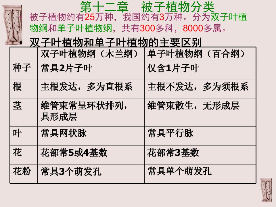 《被子植物分类》PPT课件