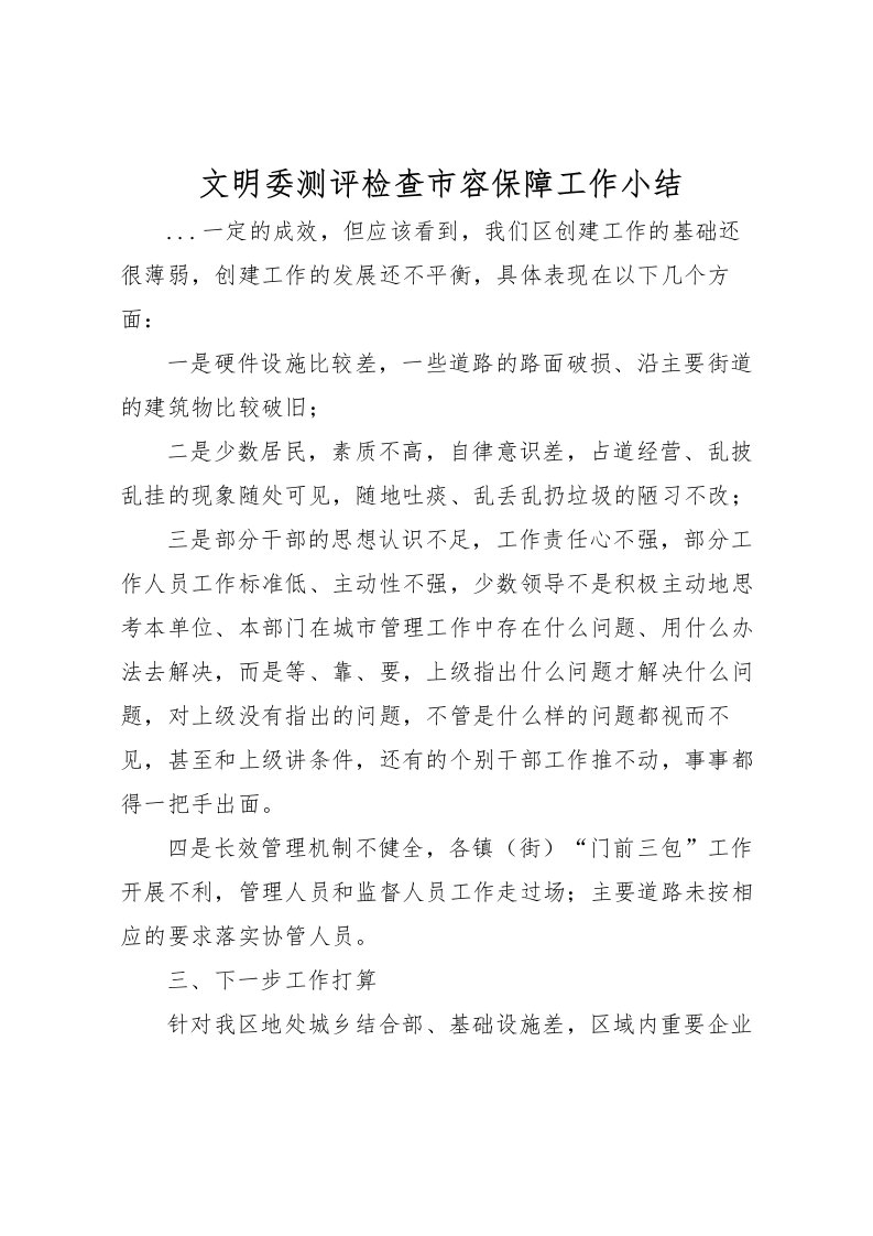 2022文明委测评检查市容保障工作小结