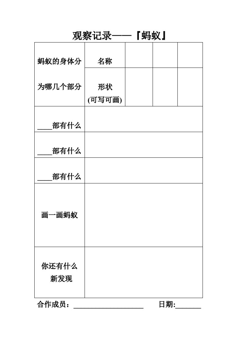 蚂蚁的观察记录表