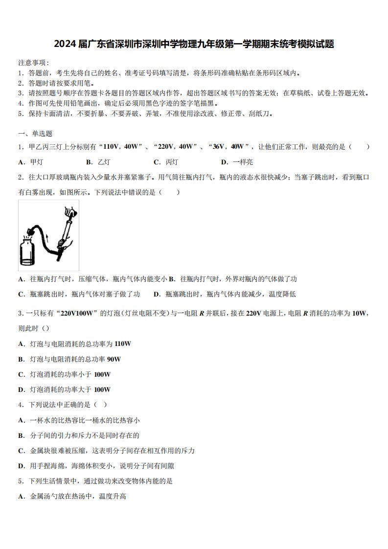 2024届广东省深圳市深圳中学物理九年级第一学期期末统考模拟试题含解析