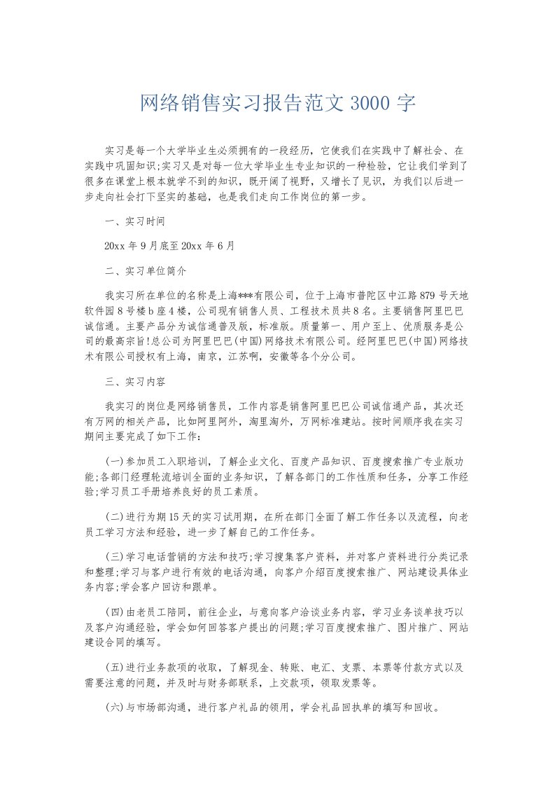 实习报告网络销售实习报告范文3000字