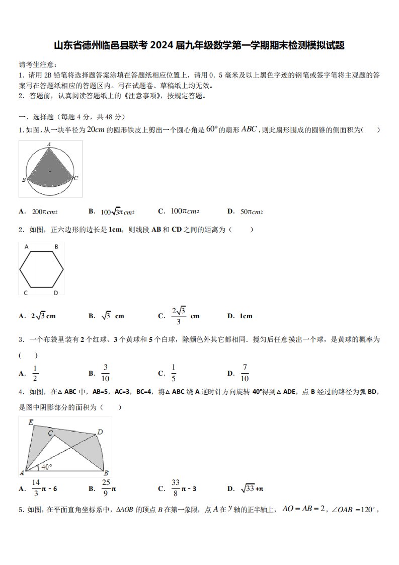 山东省德州临邑县联考2024届九年级数学第一学期期末检测模拟试题含解析