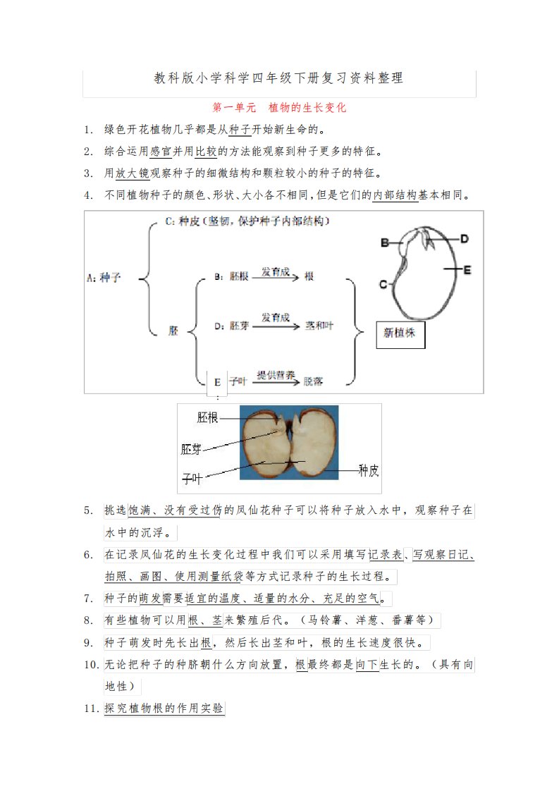 新教科版四年级科学下册知识点汇总