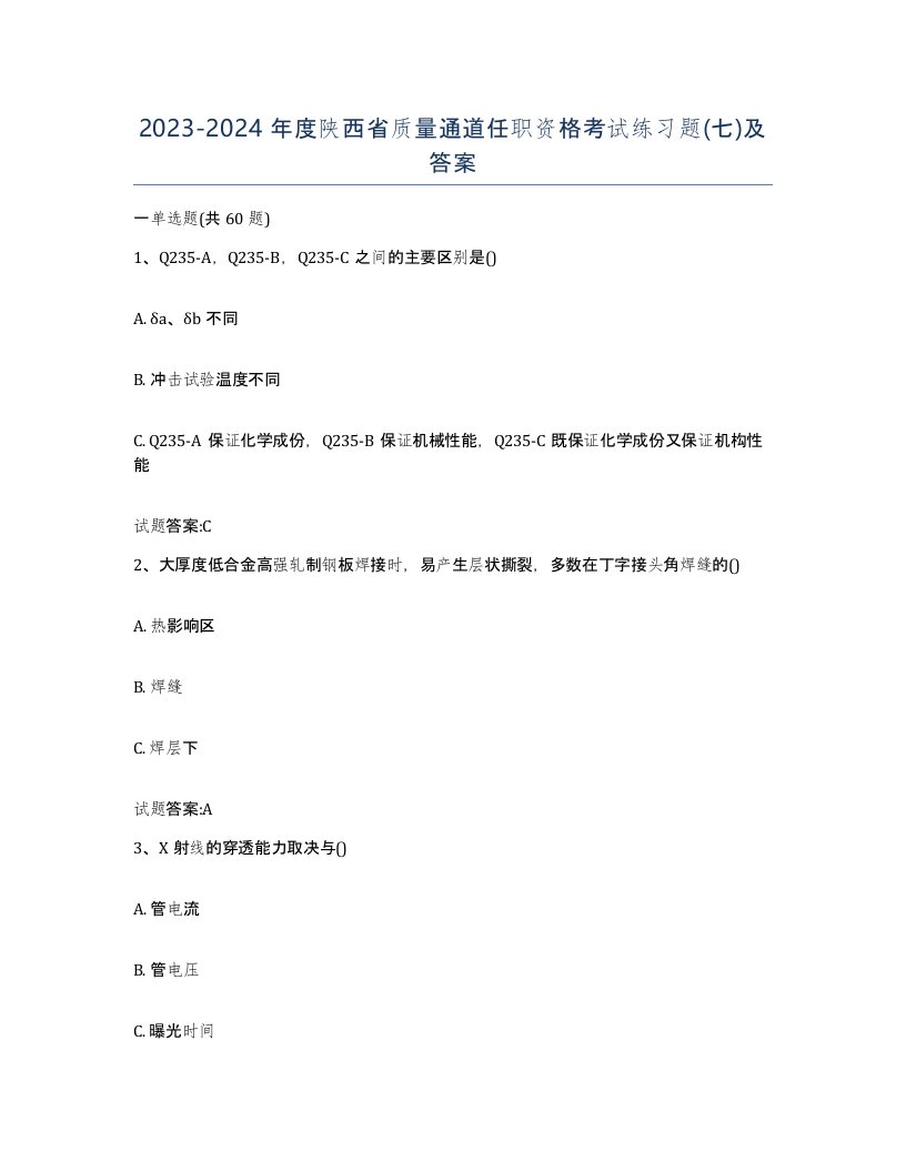 20232024年度陕西省质量通道任职资格考试练习题七及答案