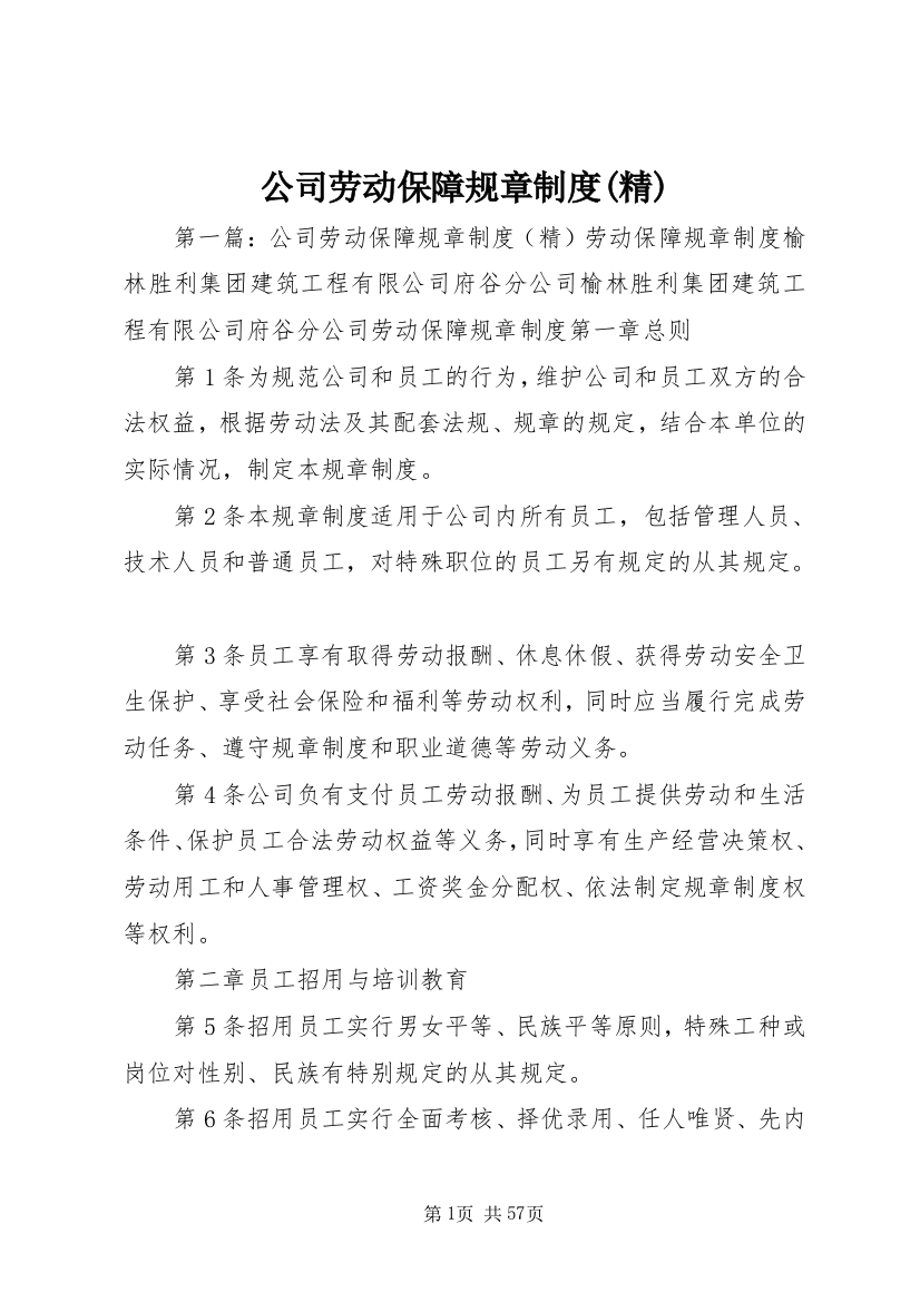 公司劳动保障规章制度(精)