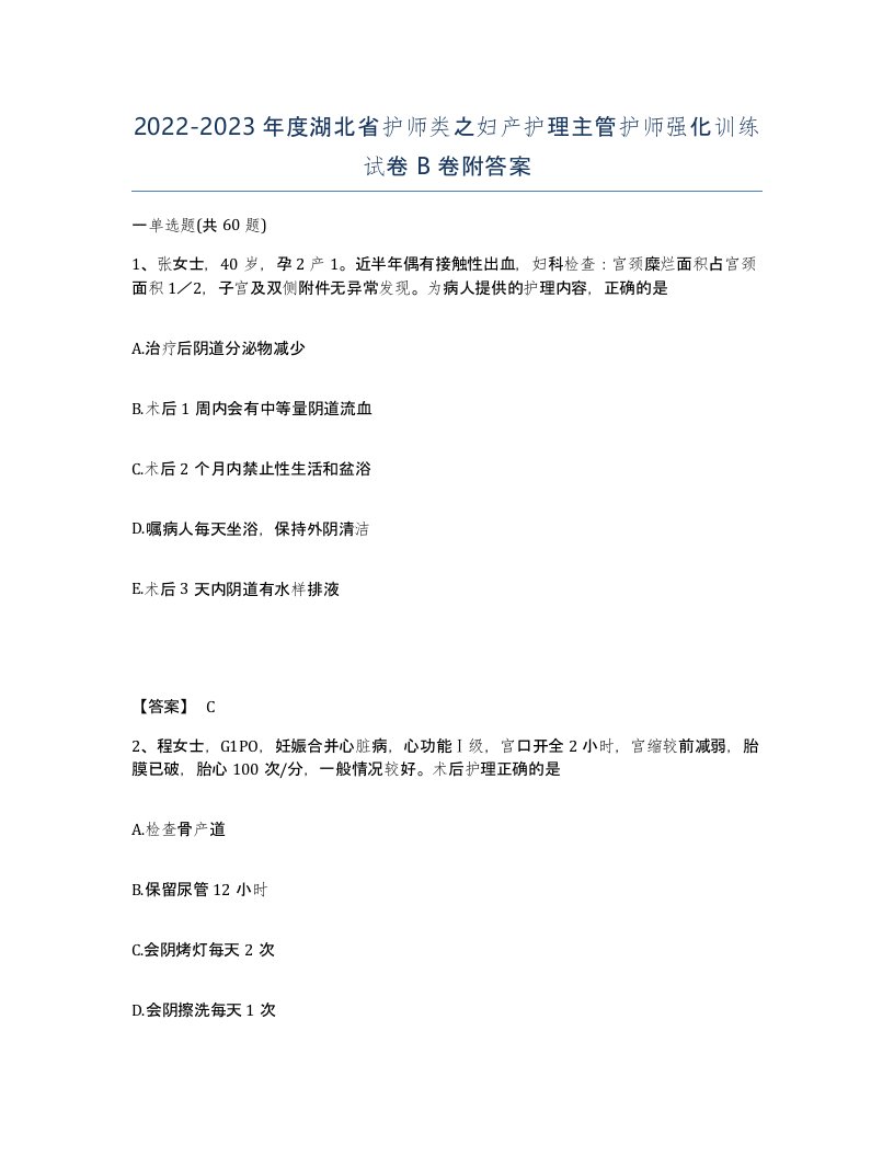 2022-2023年度湖北省护师类之妇产护理主管护师强化训练试卷B卷附答案