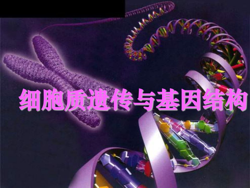 09届高三生物细胞质遗传与基因结构