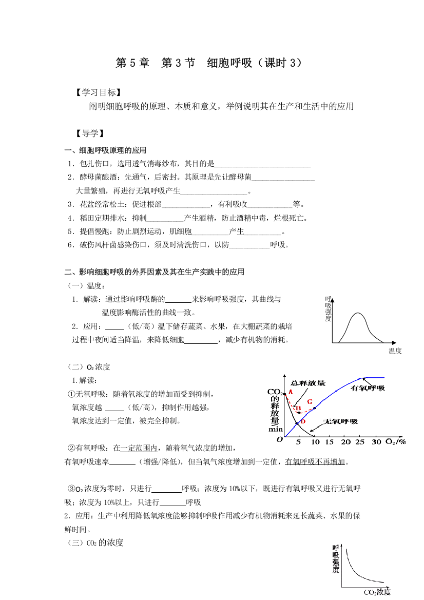 北京师范大学附属实验中学人教版高中生物必修一学案：5-3细胞呼吸（课时三）