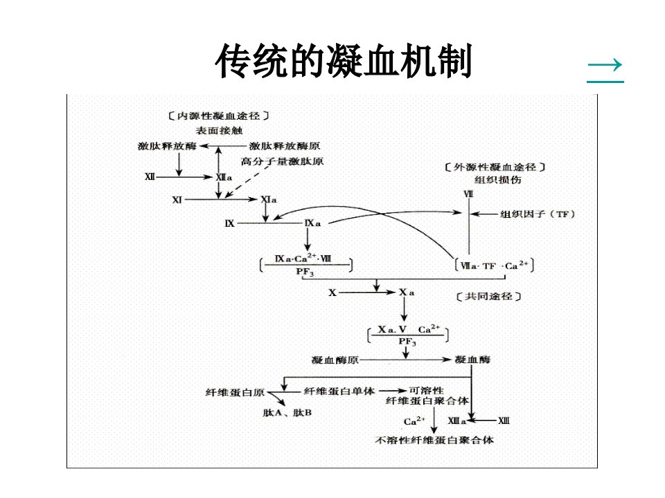 凝血机制与抗凝治疗新观念