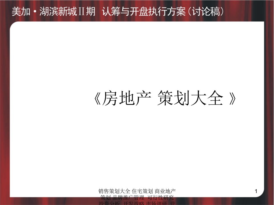 ad武汉美加湖滨新城二期认筹开盘执行方案