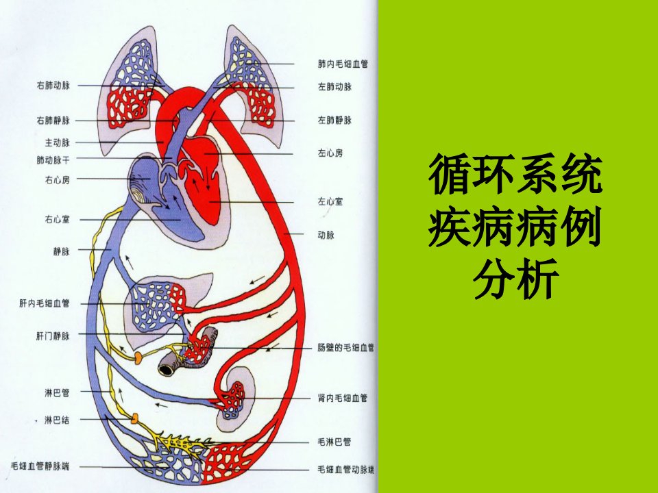 循环系统疾病病例分析