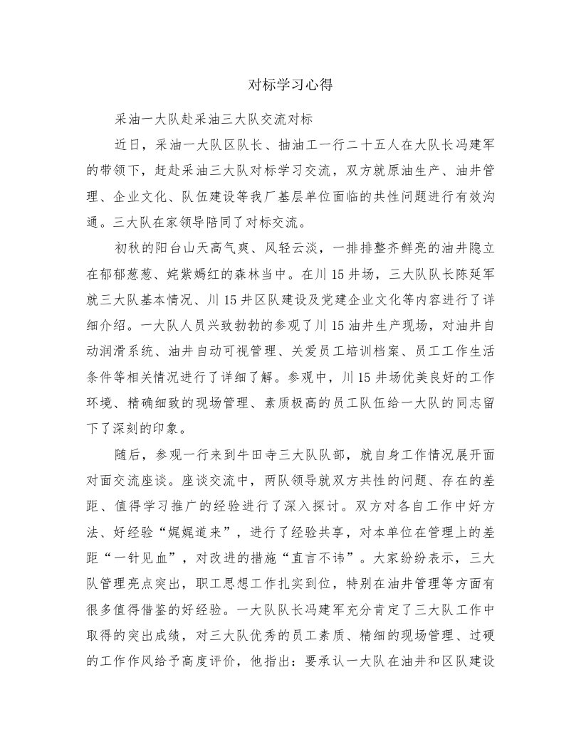 对标学习心得