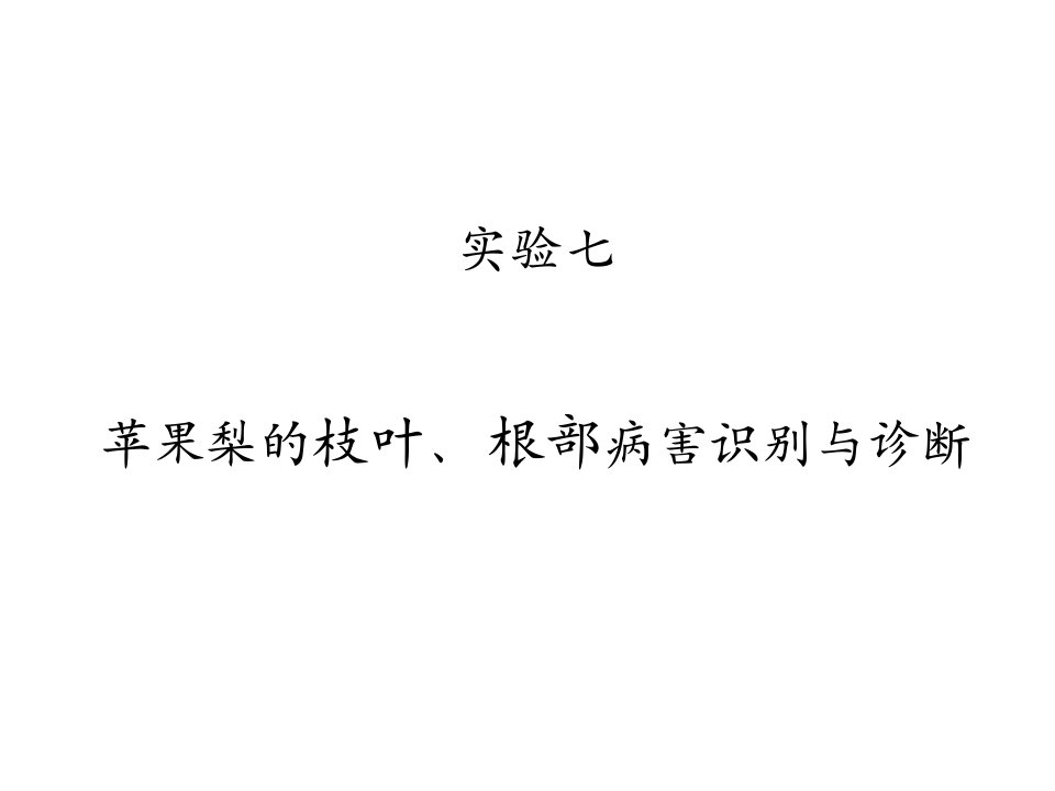 实验七苹果梨的枝叶、根部病害识别与诊断