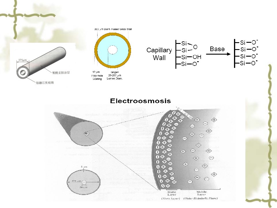 中科大高分子课件聚合物在生物高分子分离中的应用